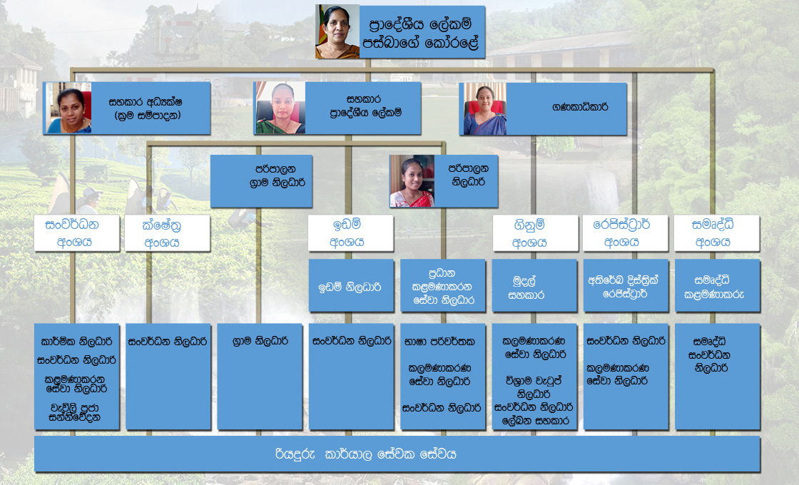 orgchart sin 2026 1