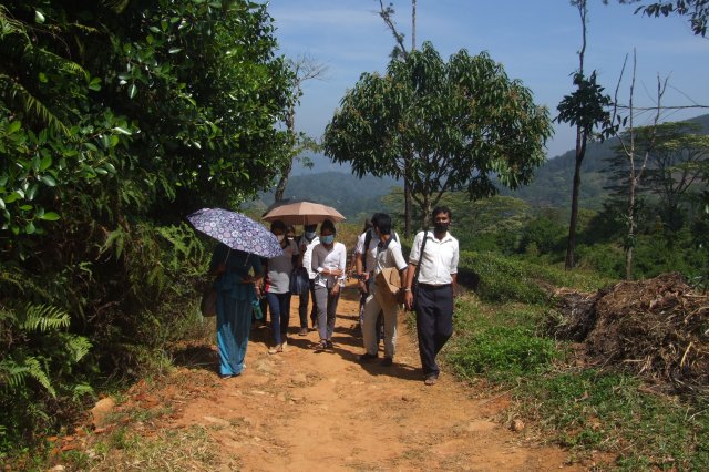 රුක් රෝපන වැඩ සටහන