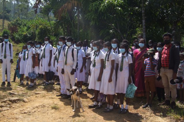 රුක් රෝපන වැඩ සටහන