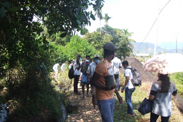 රුක් රෝපන වැඩ සටහන