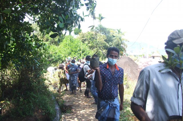 රුක් රෝපන වැඩ සටහන