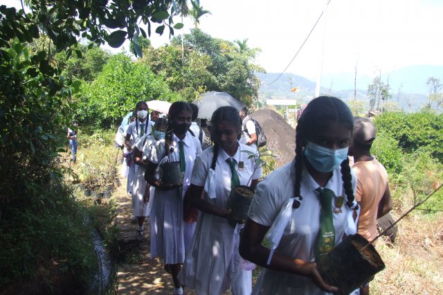 රුක් රෝපන වැඩ සටහන
