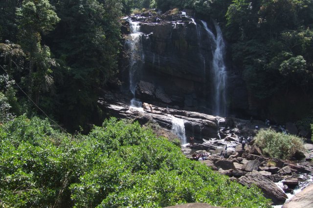 රුක් රෝපන වැඩ සටහන