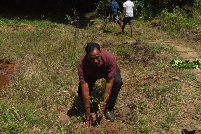 රුක් රෝපන වැඩ සටහන