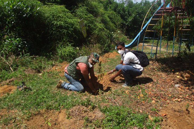 රුක් රෝපන වැඩ සටහන