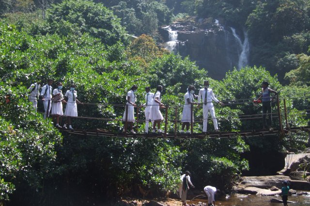 රුක් රෝපන වැඩ සටහන