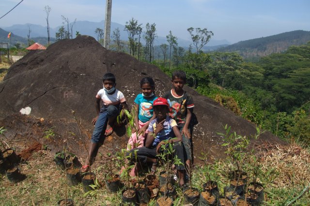 රුක් රෝපන වැඩ සටහන