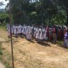 රුක් රෝපන වැඩ සටහන