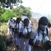 රුක් රෝපන වැඩ සටහන