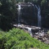 රුක් රෝපන වැඩ සටහන