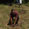 රුක් රෝපන වැඩ සටහන